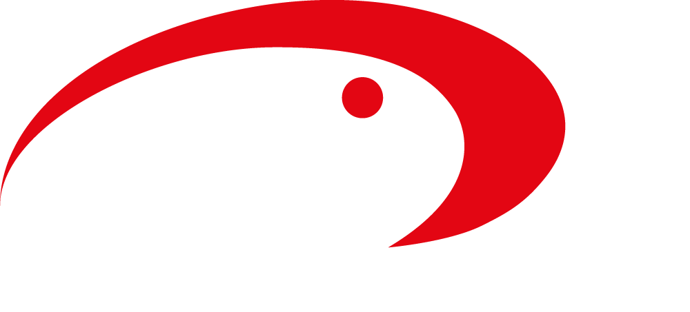 TV Seelbach
